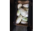 Капуста Пекинская