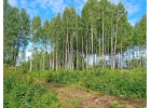 Участок в КП Царское село. Смоленск.